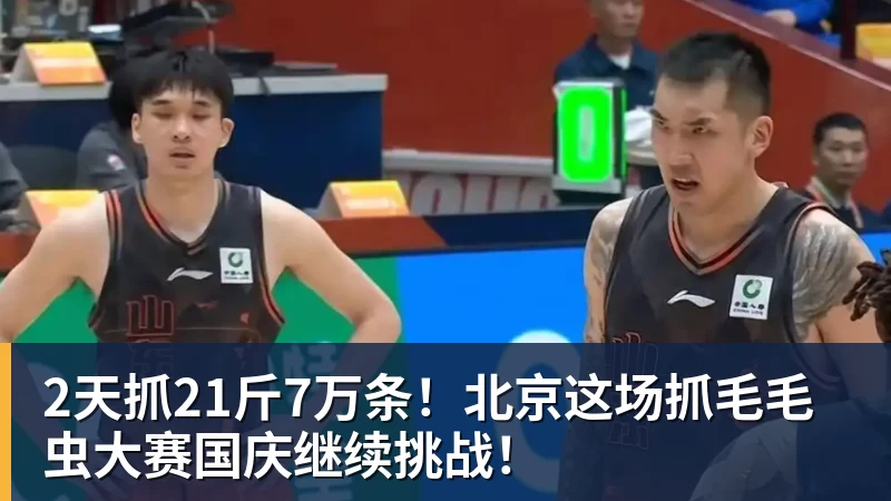 NBA下注2天抓21斤7万条！北京这场抓毛毛虫大赛国庆继续挑战！